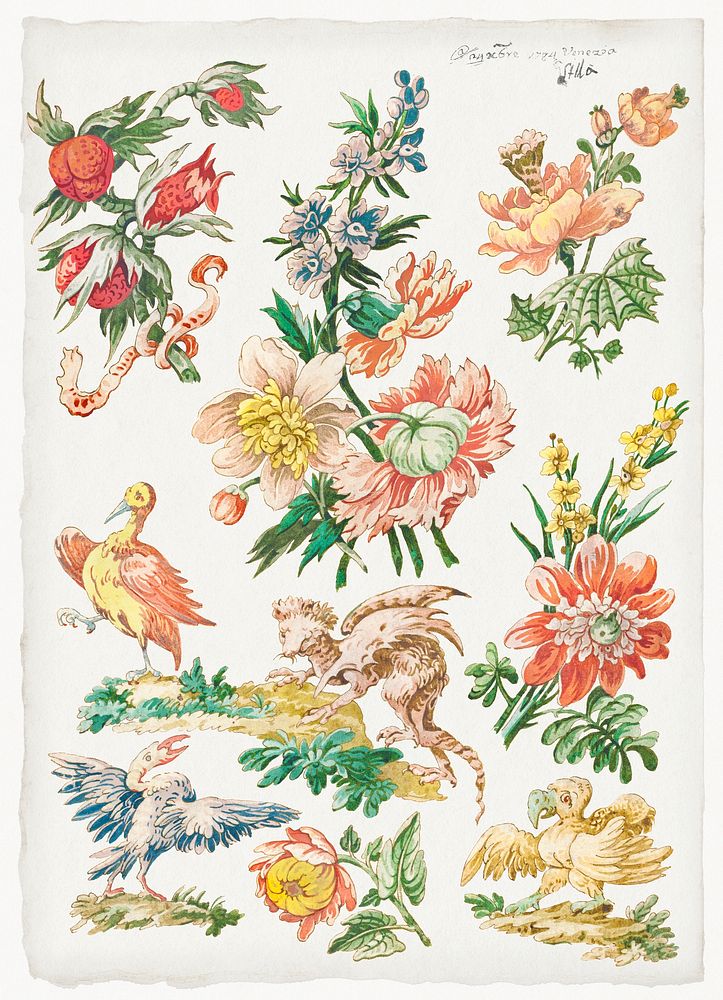 Floral Designs with Birds and Griffon (1784) by Giacomo Cavenezia. Original from Original from The Cleveland Museum of Art.…