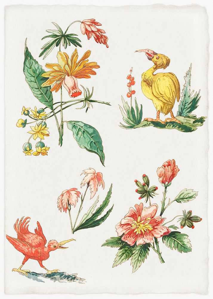 Floral Designs with Two Birds (1774) by Giacomo Cavenezia. Original from Original from The Cleveland Museum of Art.…