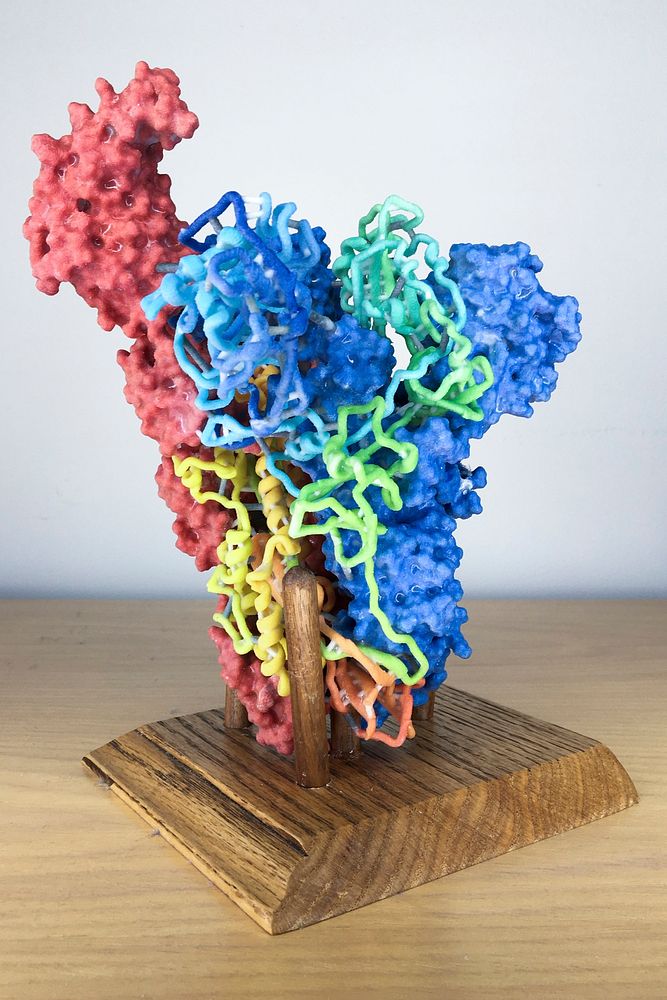 3D Print of MERS-CoV Spike. Original image sourced from US Government department: The National Institute of Allergy and…