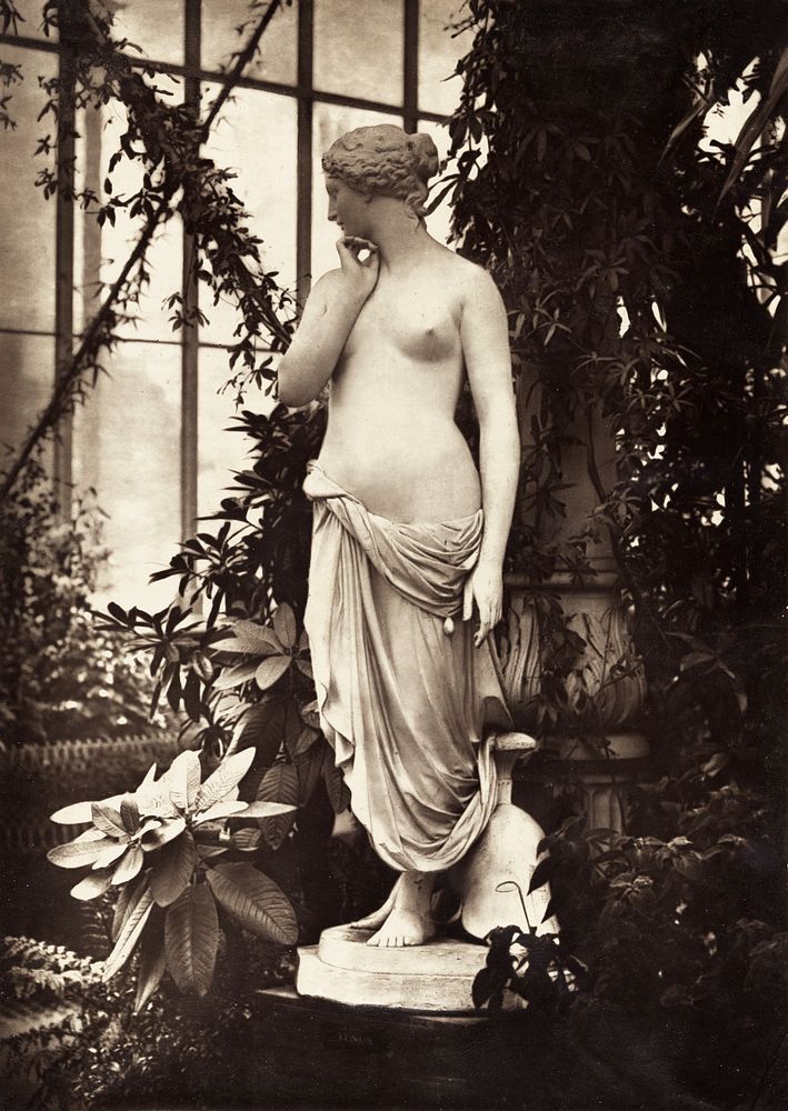 Ancient Geek nude, Sculpture of Venus surrounded by plants (ca. 1880&ndash;1899). Original from The Getty. Digitally…