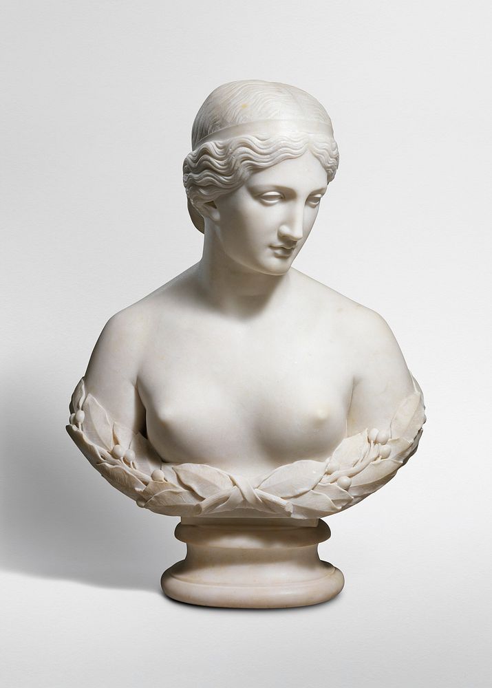 Sensual nude sculpture, Daphne (1853, carved 1854) by Harriet Goodhue Hosmer. Original from The MET Museum. Digitally…