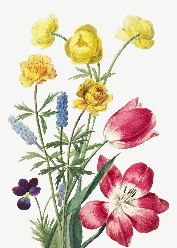 Vintage flower illustration vector, remix from artworks by 
