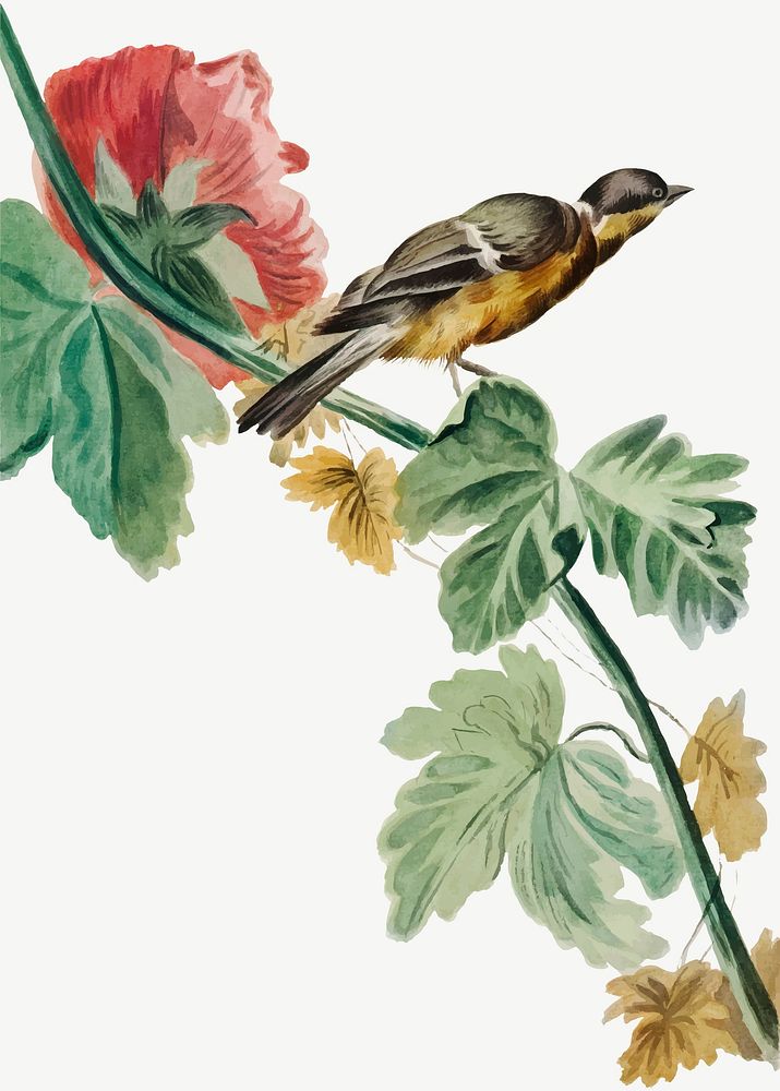 Vintage bird on flower branch vector illustration