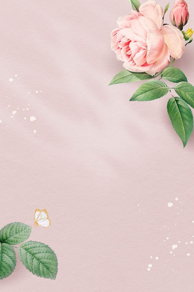 Blank pink rose frame illustration