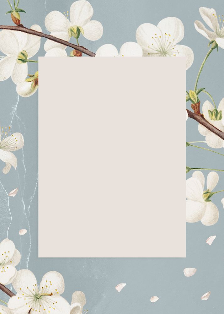 Rectangular pink cherry blossom flower bouquet border frame on blue gray background