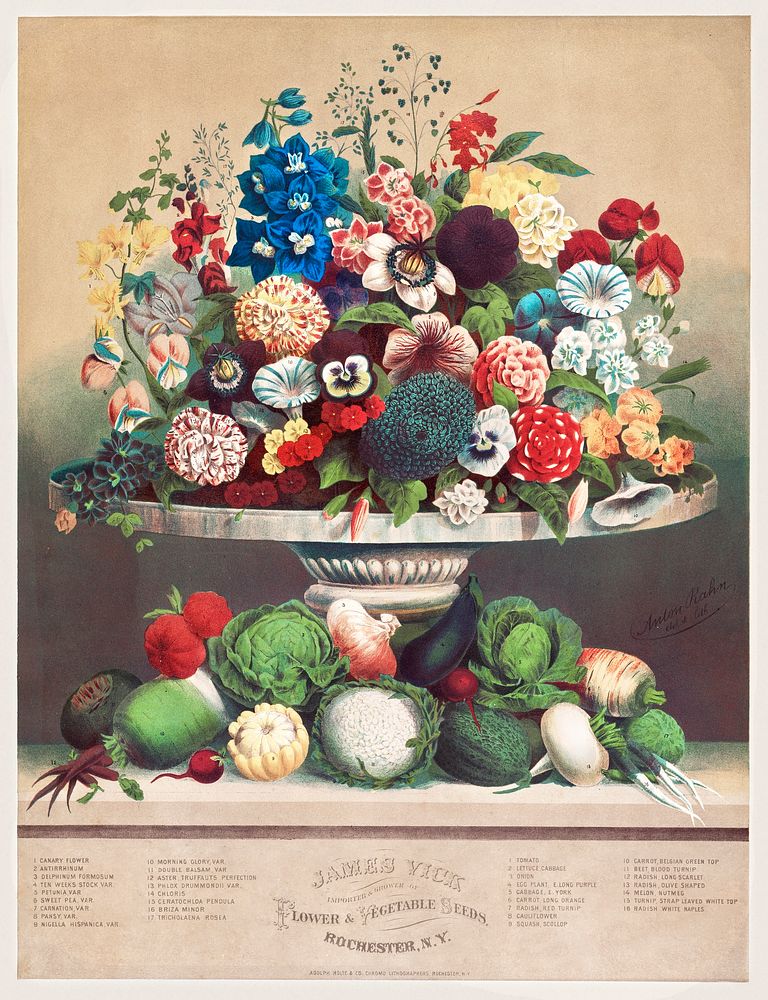 Flowers and Vegetables (ca. 1800) byAnton Carl Rahn. Original from The Cleveland Museum of Art. Digitally enhanced by…