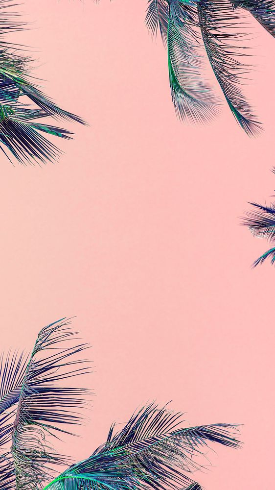 Pink iPhone wallpaper, summer palm trees