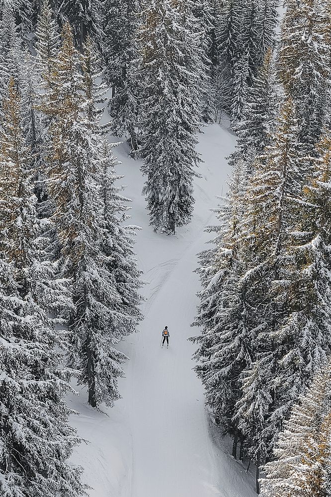 Traveler skiing through the mountain in Verbier, Switzerland