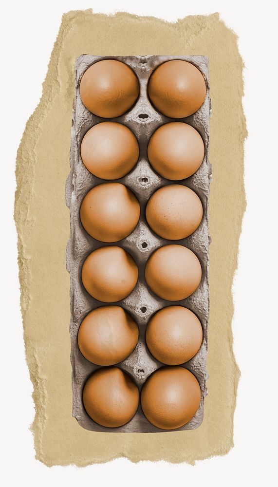 Egg carton, ripped paper collage element
