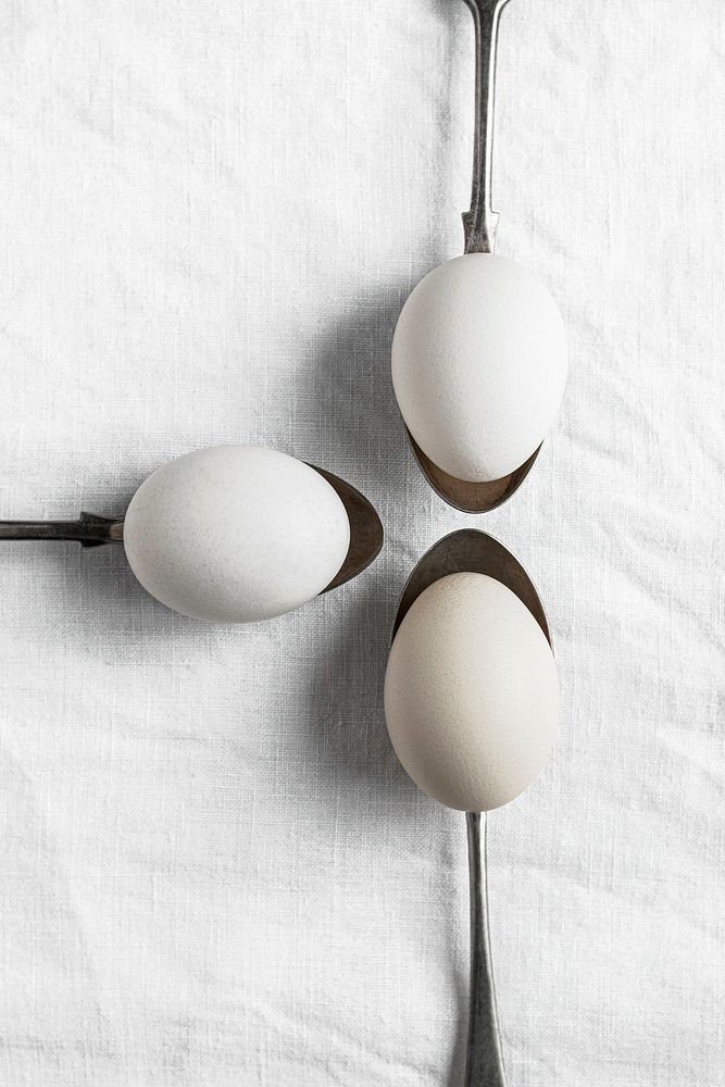 Fresh white organic raw eggs in spoons