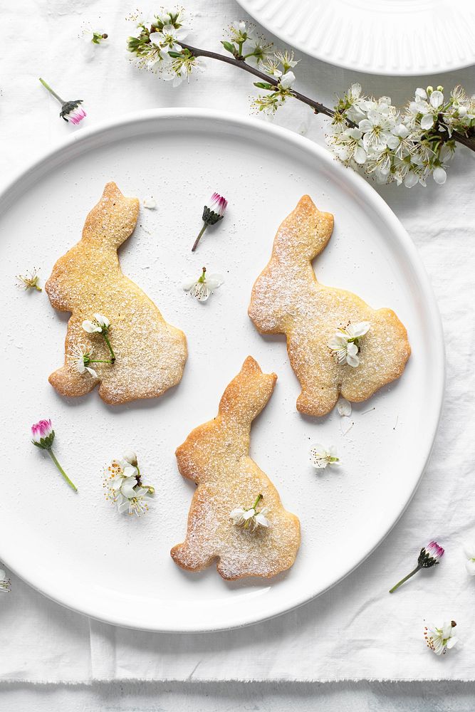 Homemade sugar bunny cookies recipe