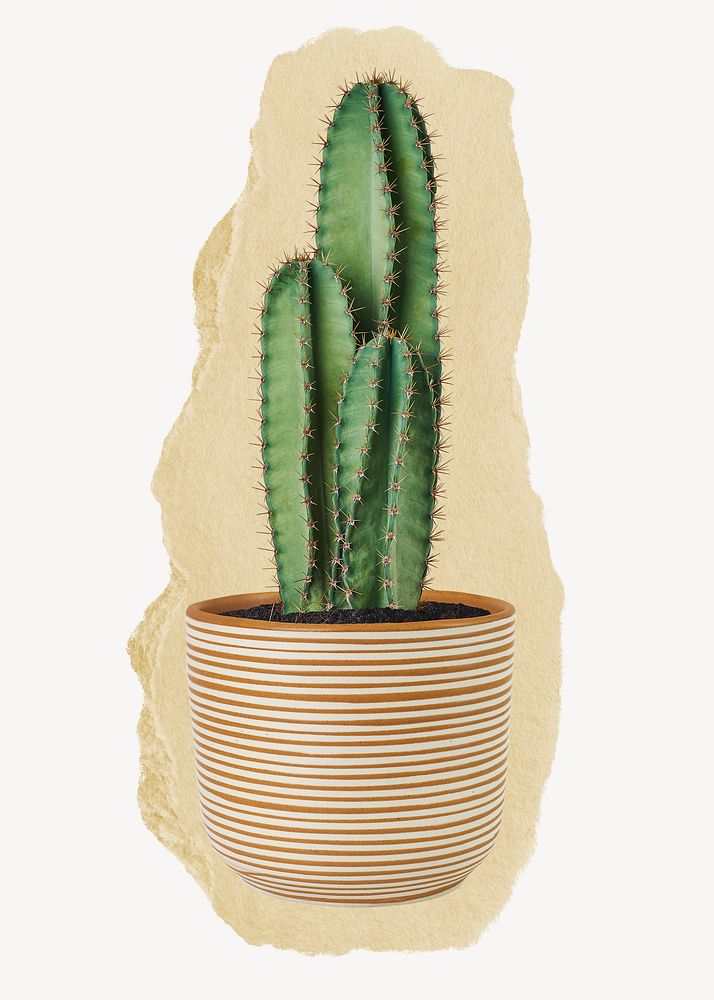 Cactus houseplant, ripped paper collage element