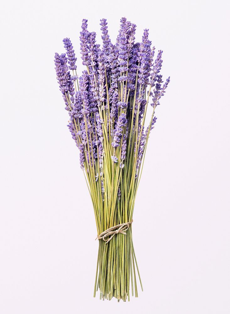 Lavender bouquet, collage element psd