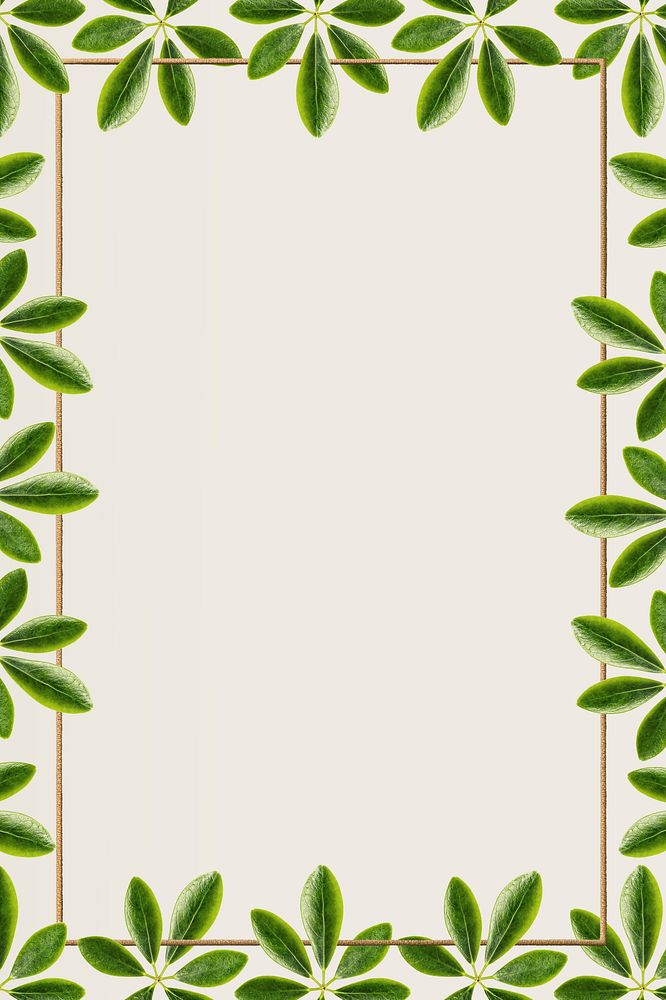 Green leaves with golden rectangle frame