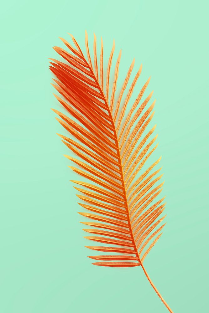 Red dyed areca palm leaf mockup