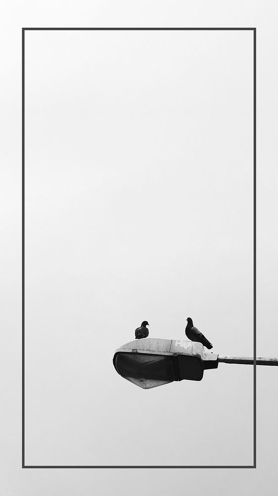 Birds sitting on a lamp post mobile wallpaper