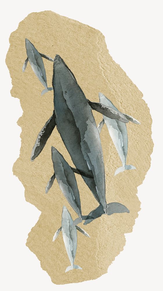 Whale family, ripped paper collage element