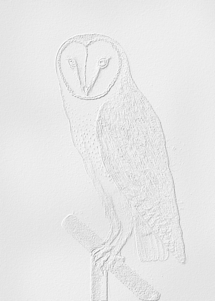 Embossed barn owl vintage illustration, remix from original artwork.
