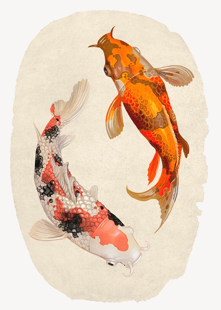 Koi fish, ripped paper collage element