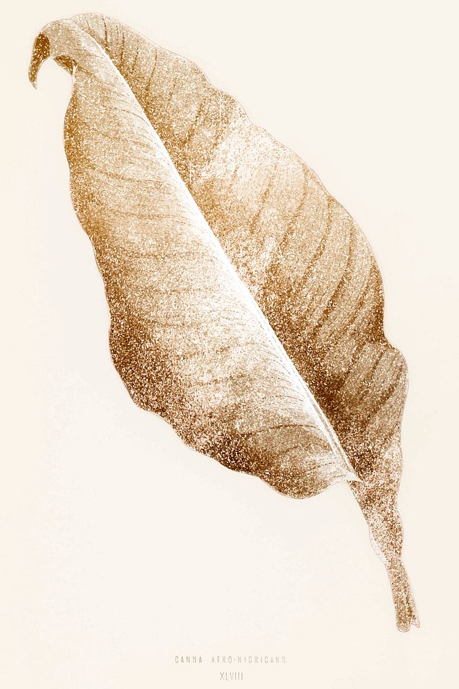 Golden Canna leaf vintage illustration vector, remix from original artwork.