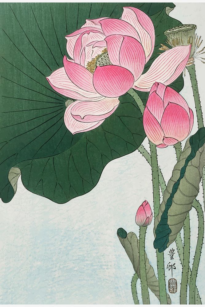 Blooming lotus vintage wall art print and poster design remix from original artwork by Ohara Koson. Digitally enhanced and…