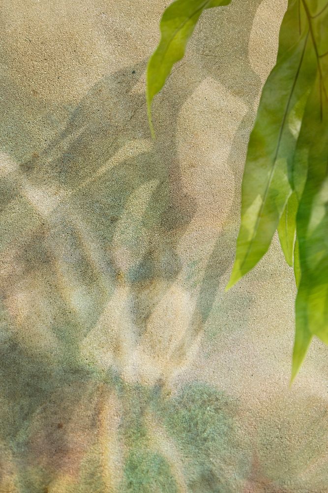 Tropical leaves on a concrete wall background
