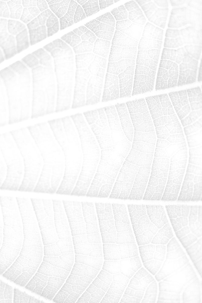 Leaf vein macro shot background