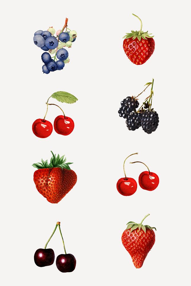 Hand drawn natural fresh mixed berries set vector