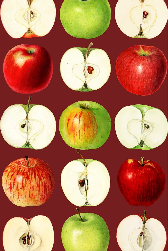 Hand drawn red apples on a red background vector 