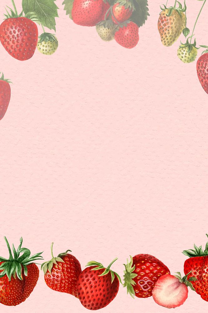 Hand drawn natural fresh strawberry frame vector