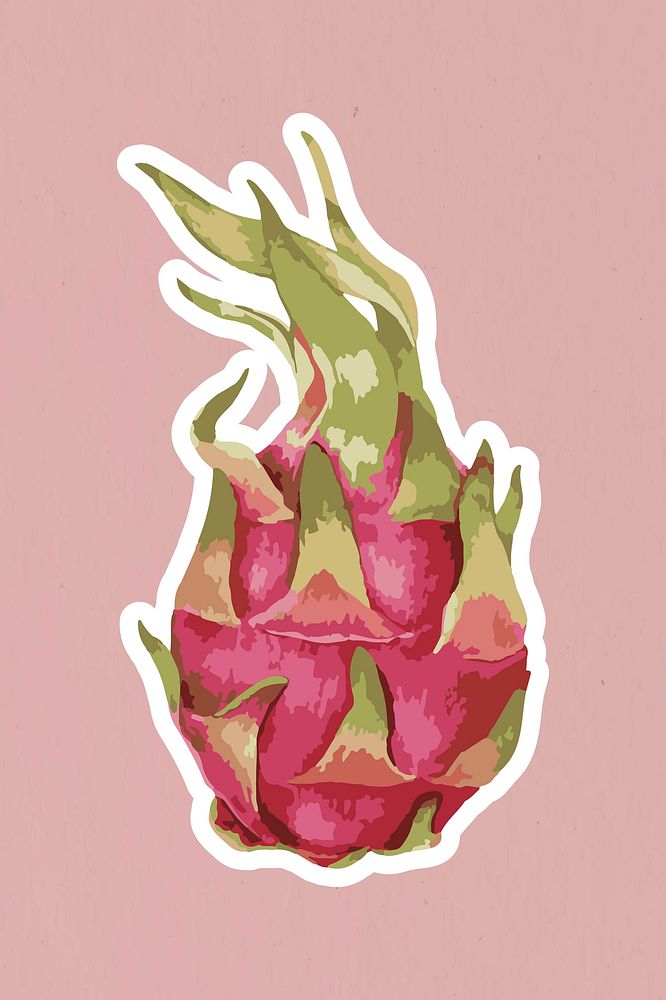 Vectorized dragon fruit sticker with a white border