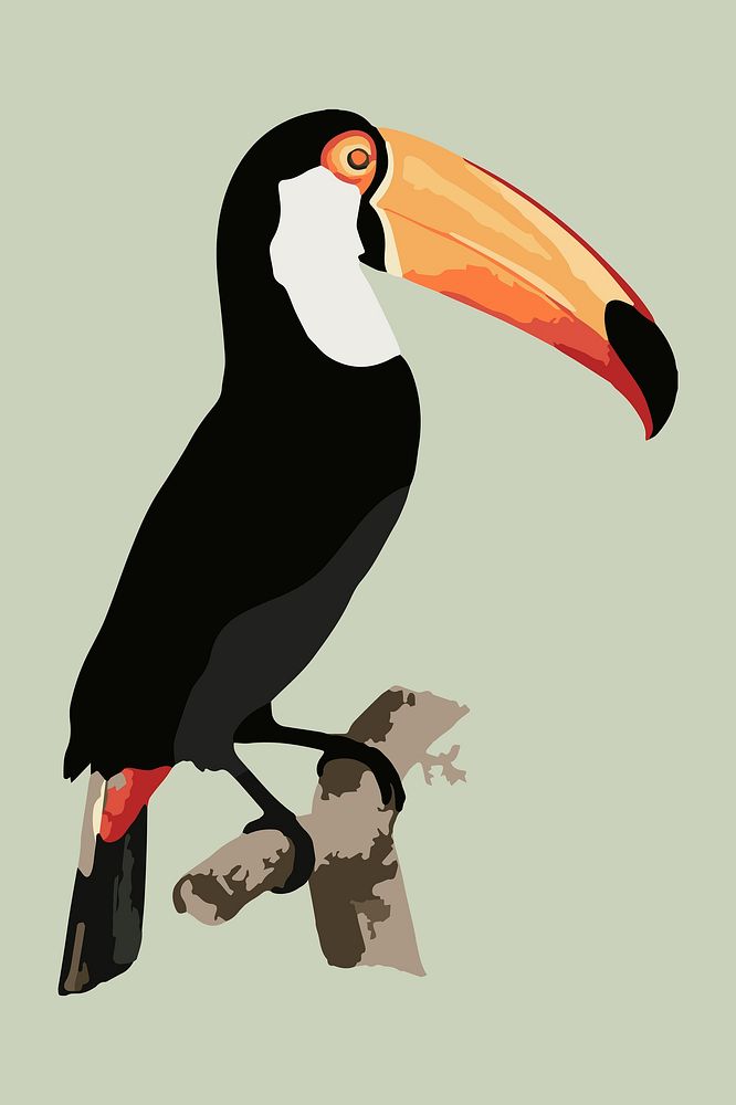 Vectorized toucan bird sticker overlay design element 