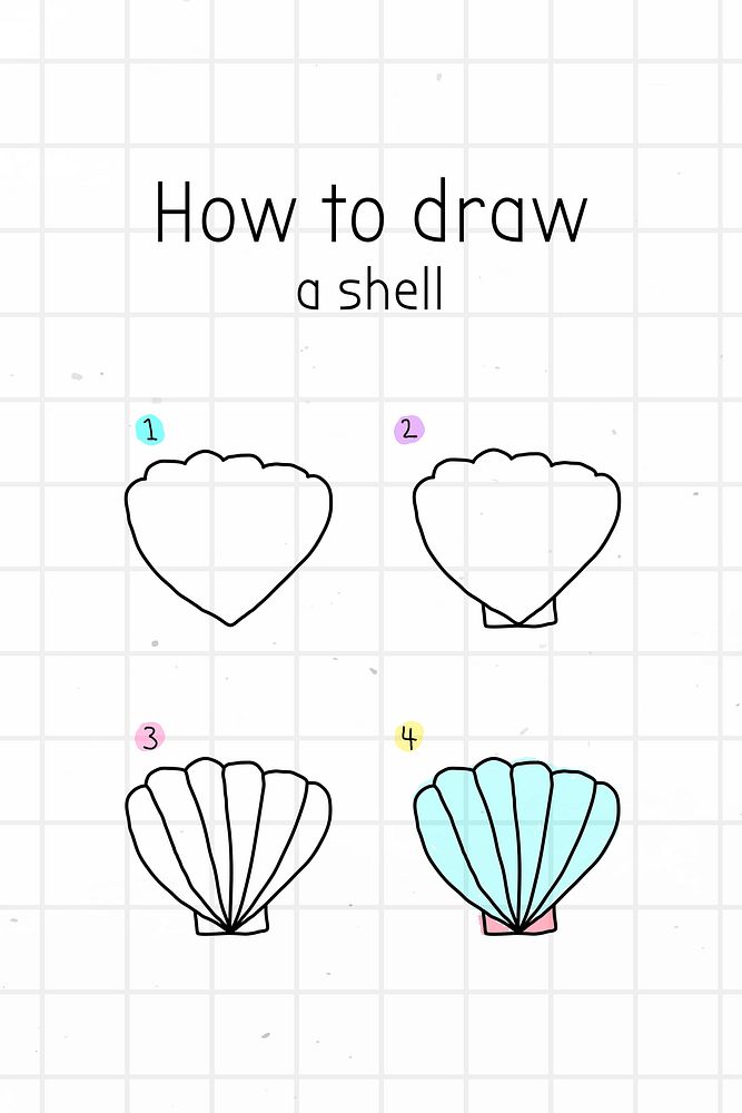 How to draw a shell doodle tutorial vector