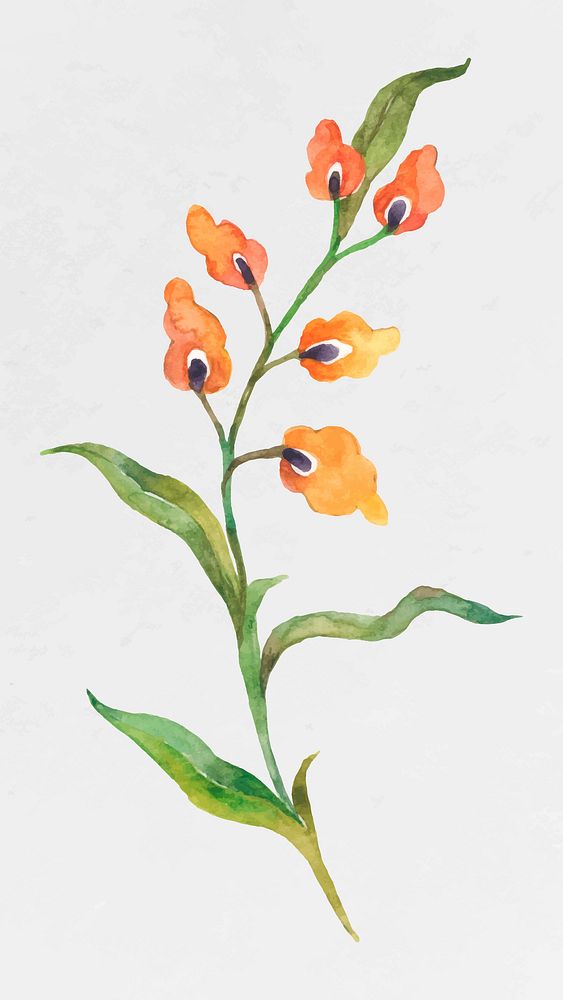 Orange watercolor flower vector illustration