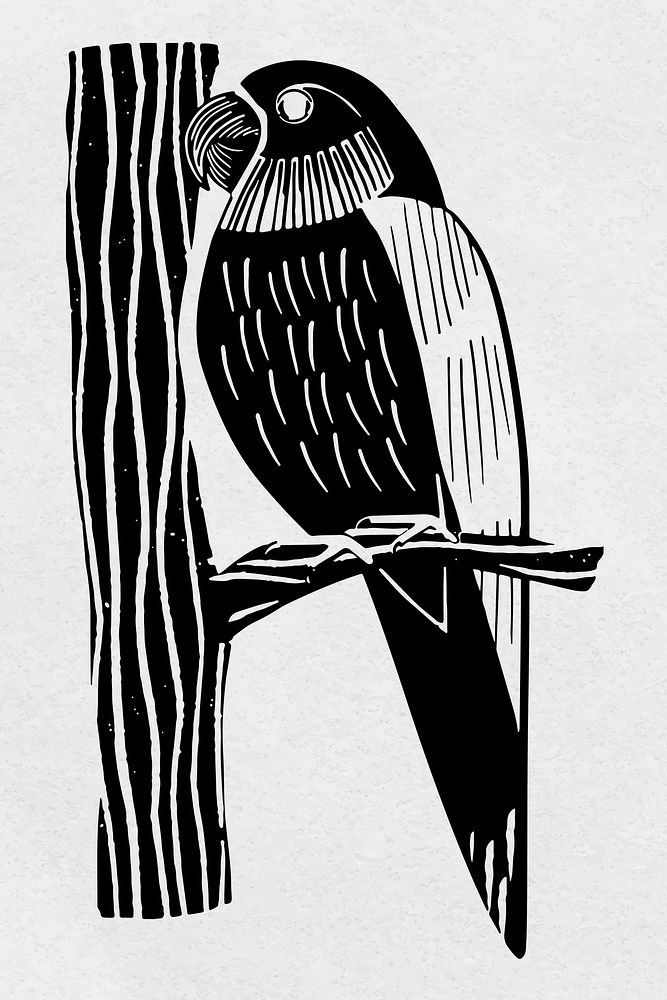 Vintage parrot vector bird hand drawn clipart