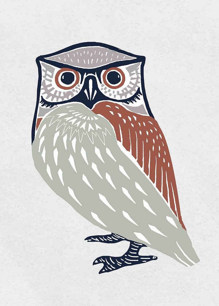Colorful owl vector bird vintage stencil pattern