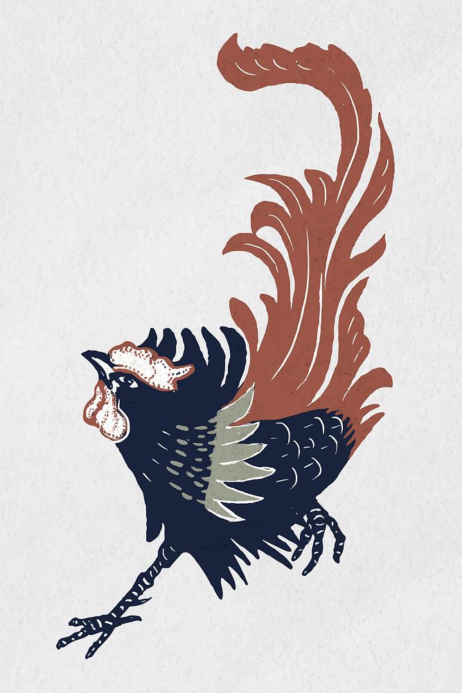 Vintage colorful rooster vector bird hand drawn