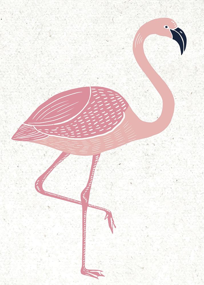 Pink flamingo vector vintage linocut hand drawn