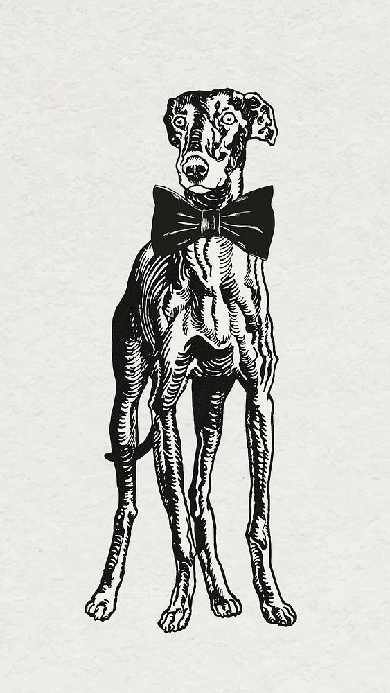Vintage greyhound dog vector sticker with bow tie, remixed from artworks by Moriz Jung