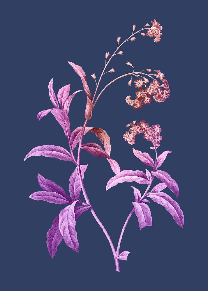 Flower aesthetic illustration vector, remixed from vintage public domain images