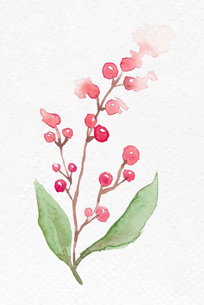 Winter redberry plant watercolor vector in redseasonal graphic