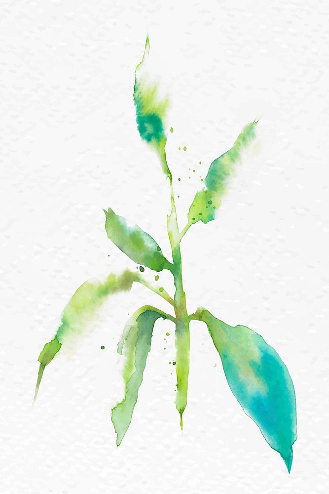 Watercolor leaf green floral vector spring seasonal graphic