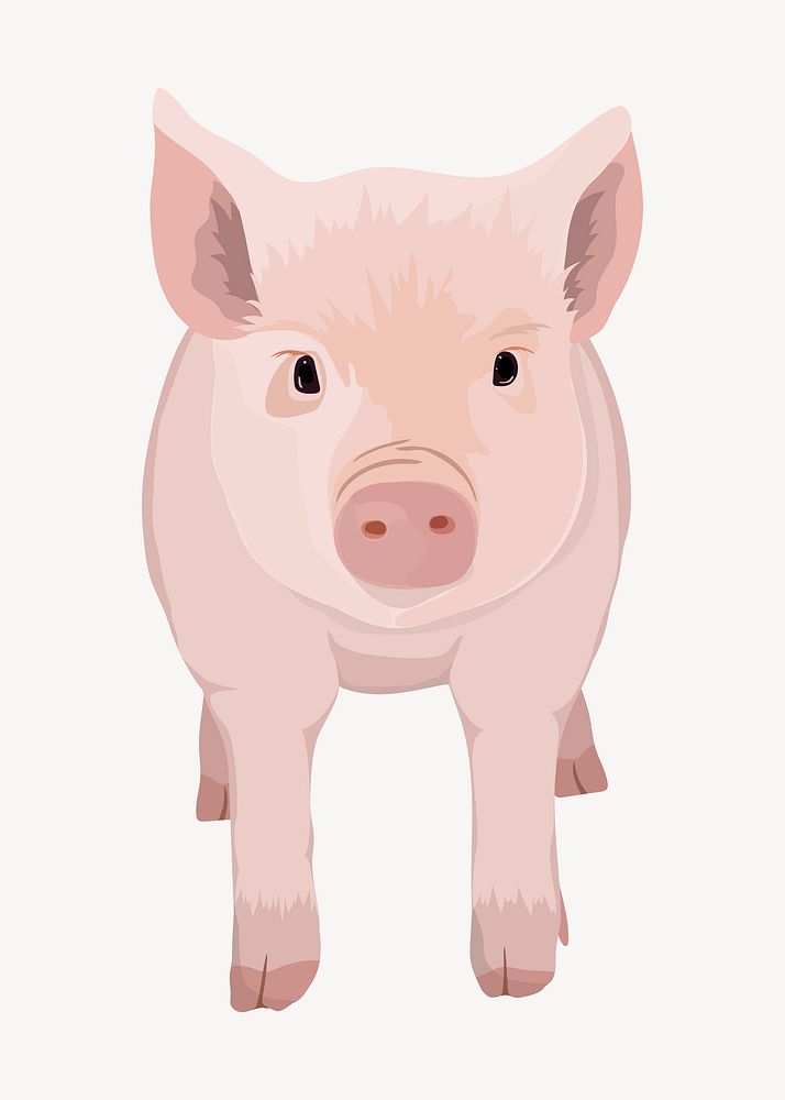 Piglet illustration, cute farm animal psd
