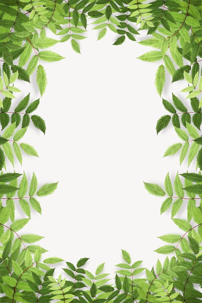 Green leaf frame background, white design psd