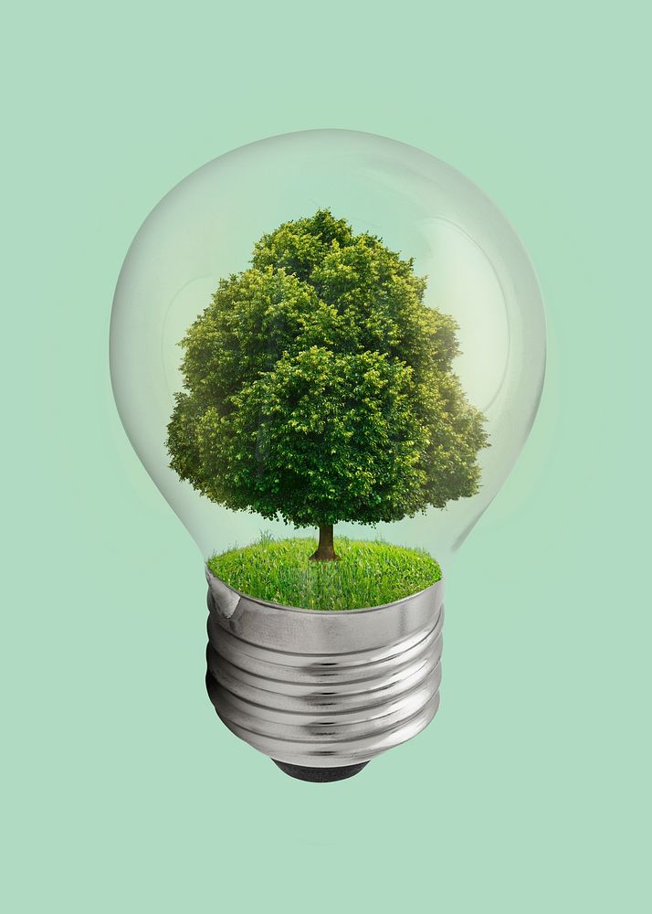 Sustainability ideas for a green future