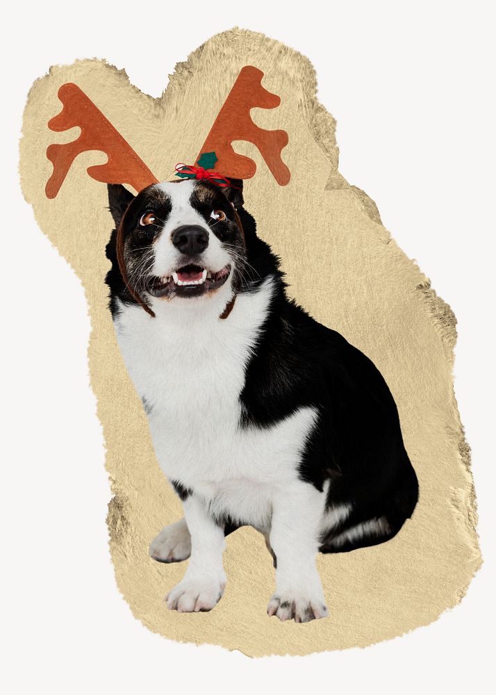 Dog wearing reindeer antlers, ripped paper collage element