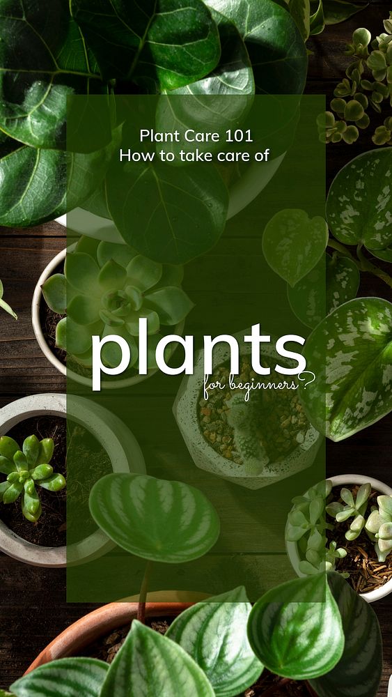 Plant parent beginner template vector guide