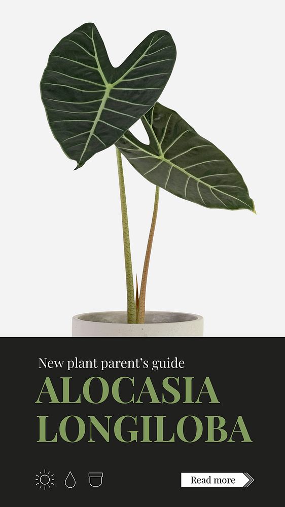 Plant parent beginner template vector guide