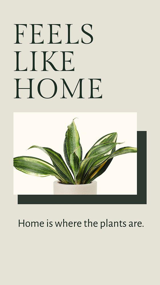 Inspirational quote botanical template vector with sansevieria plant social media story in minimal style