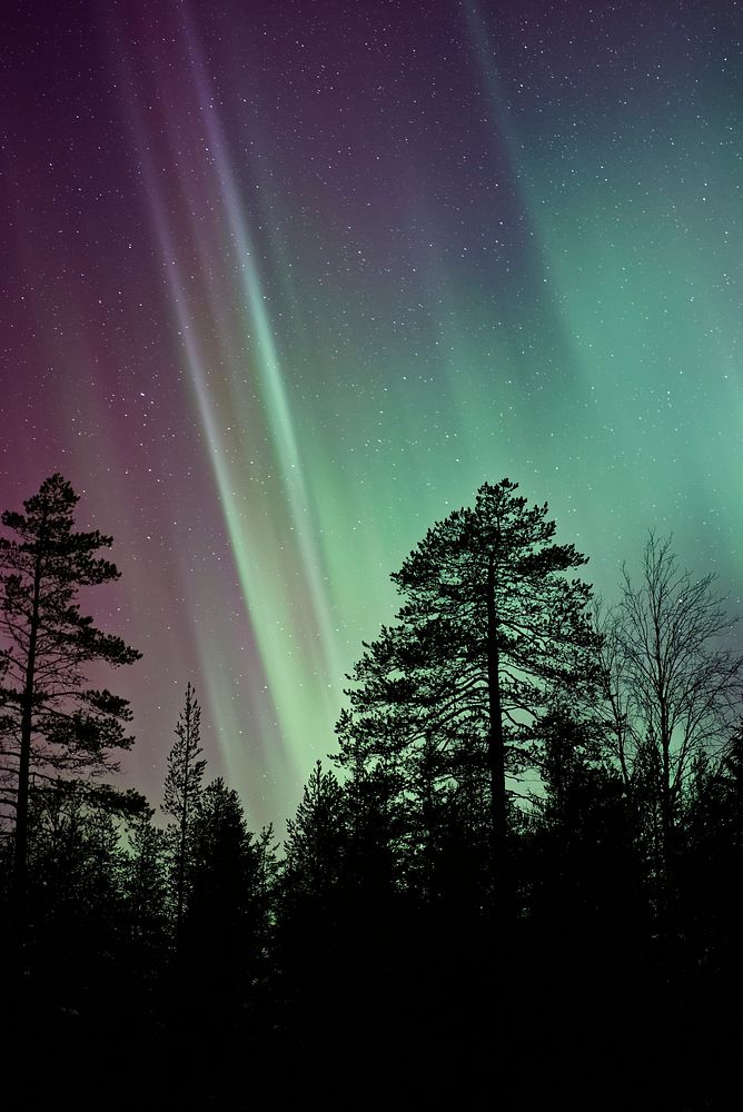Aurora in Someroharju, Finland. Original public domain image from Wikimedia Commons